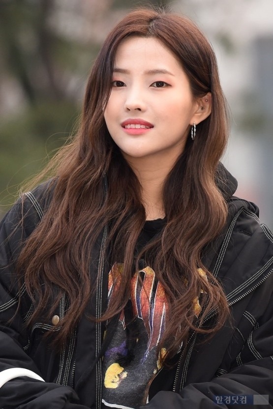 20250125115727-79068db7772f-다운로드---2025-01-25T115642.591.jpeg
