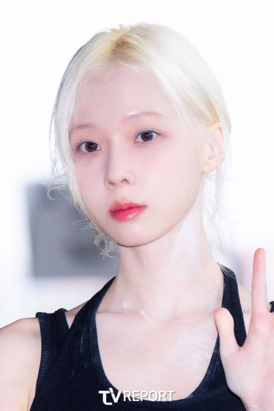 20250128153110-a5a327a00615-다운로드---2025-01-28T153051.320.jpeg