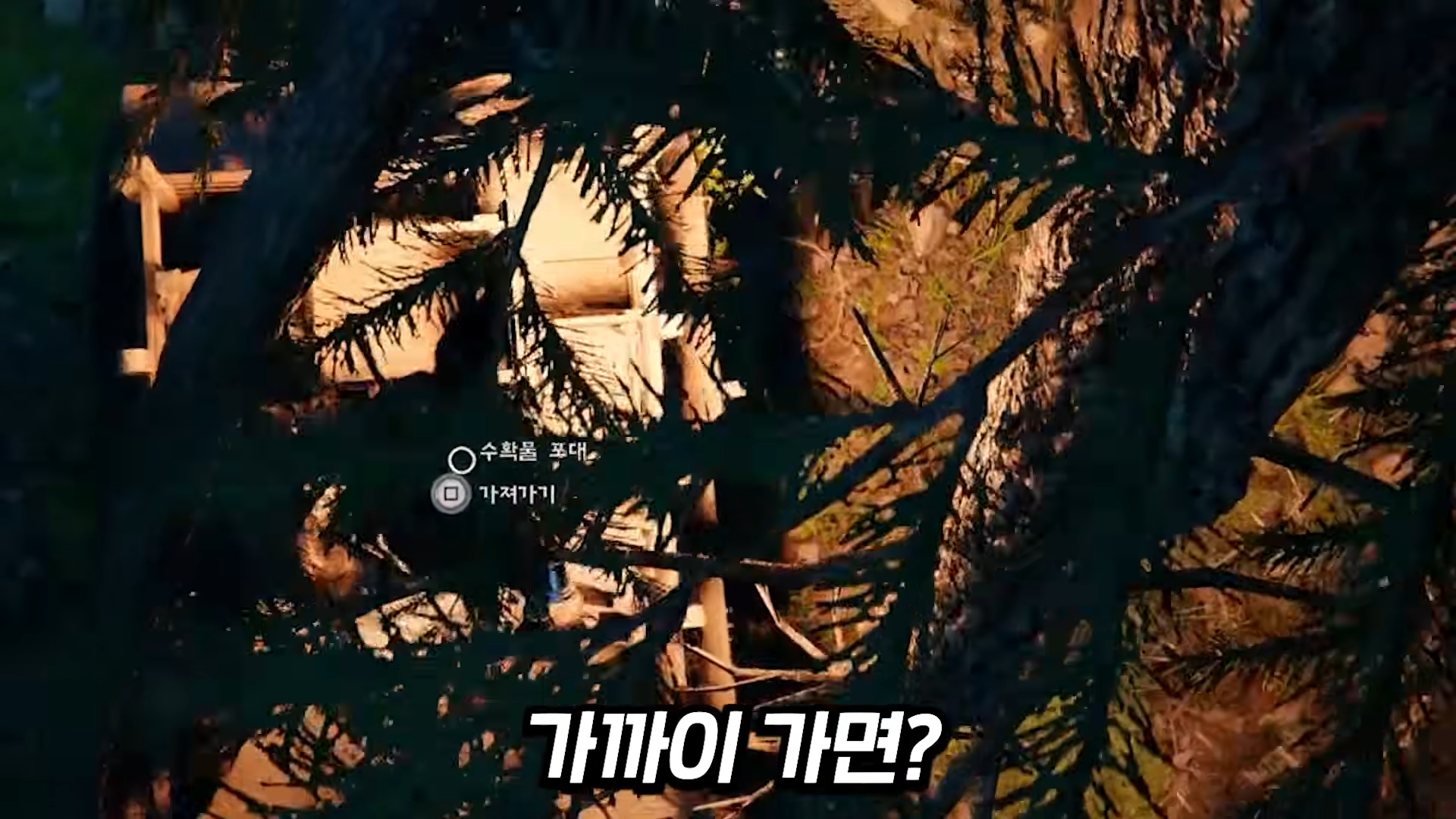 i1164393122.png