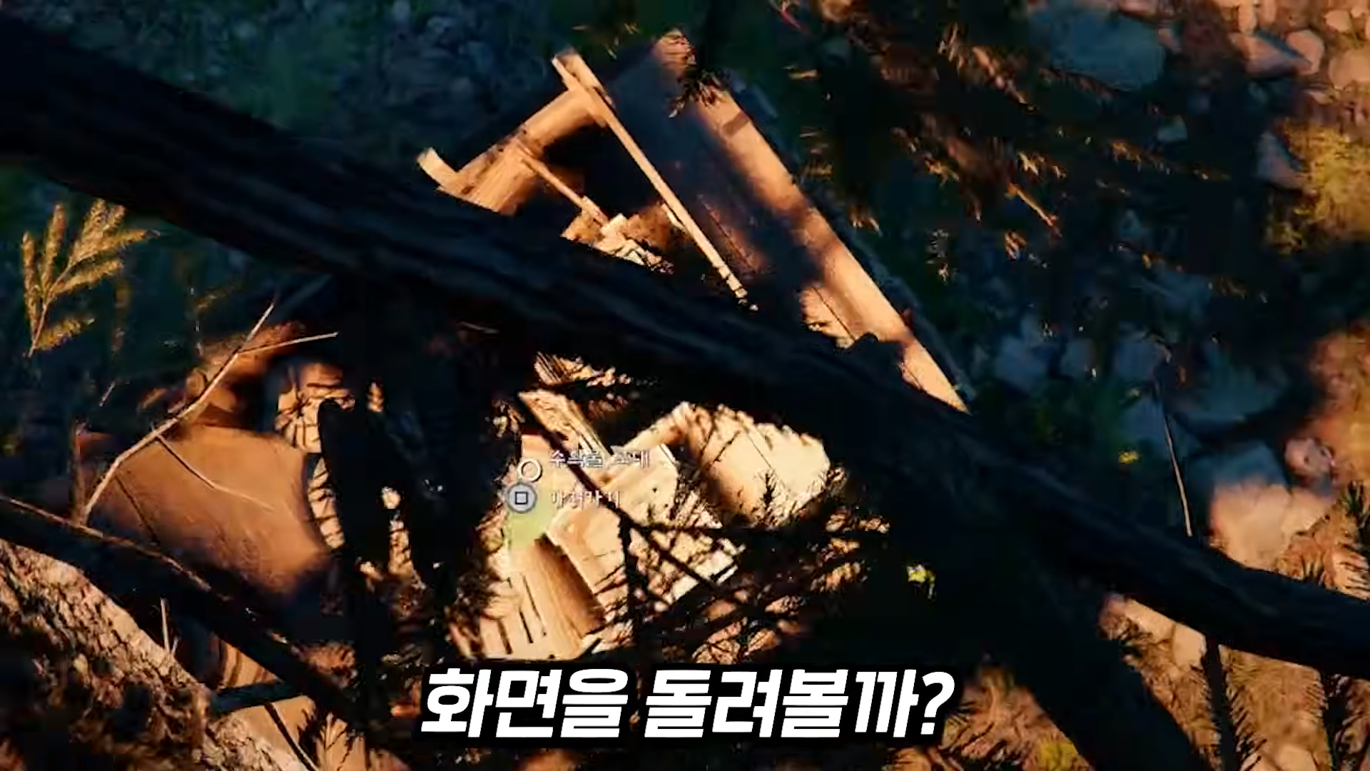 i1204991800.png