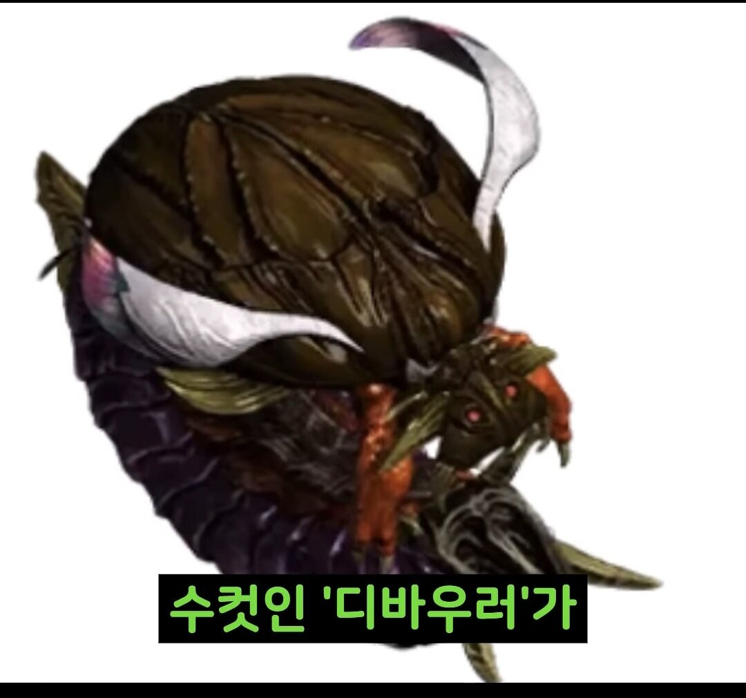 i1261785978.jpg