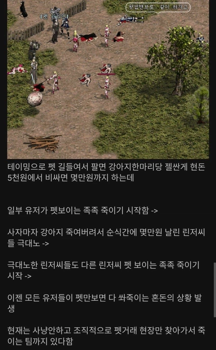i1376008911.webp