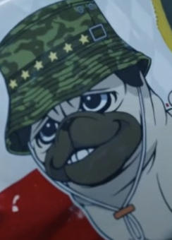 i1531127765.png
