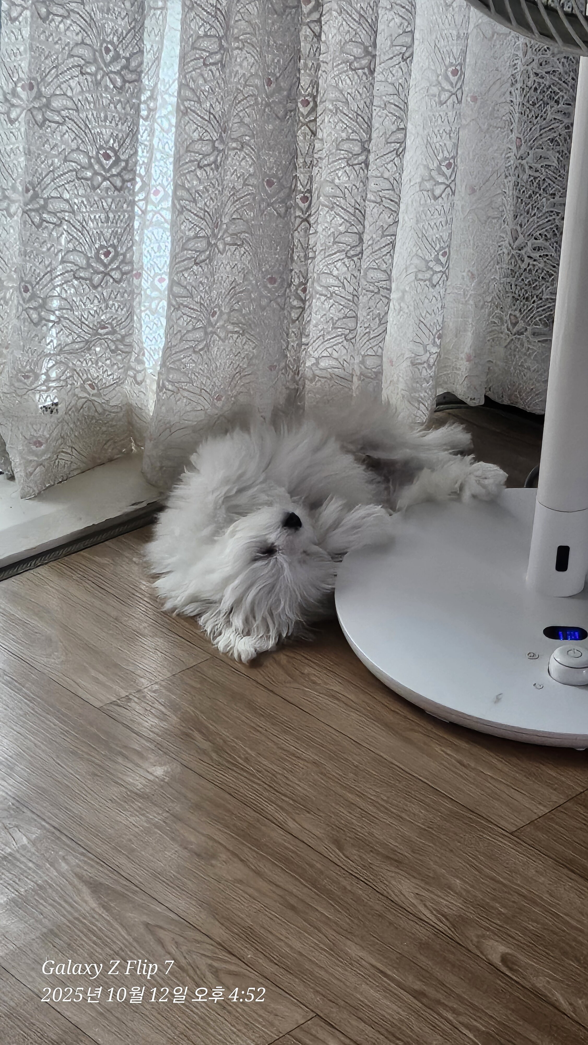 i1612680756.jpg