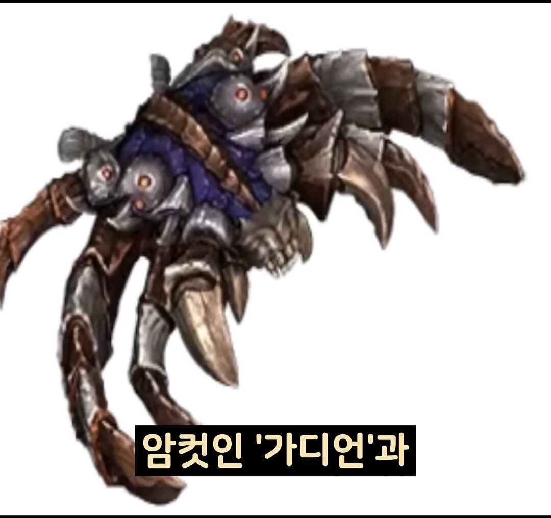i1618141481.jpg