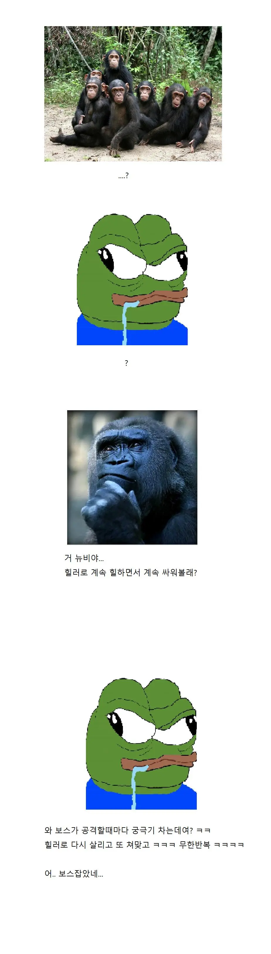 i1677322432.webp