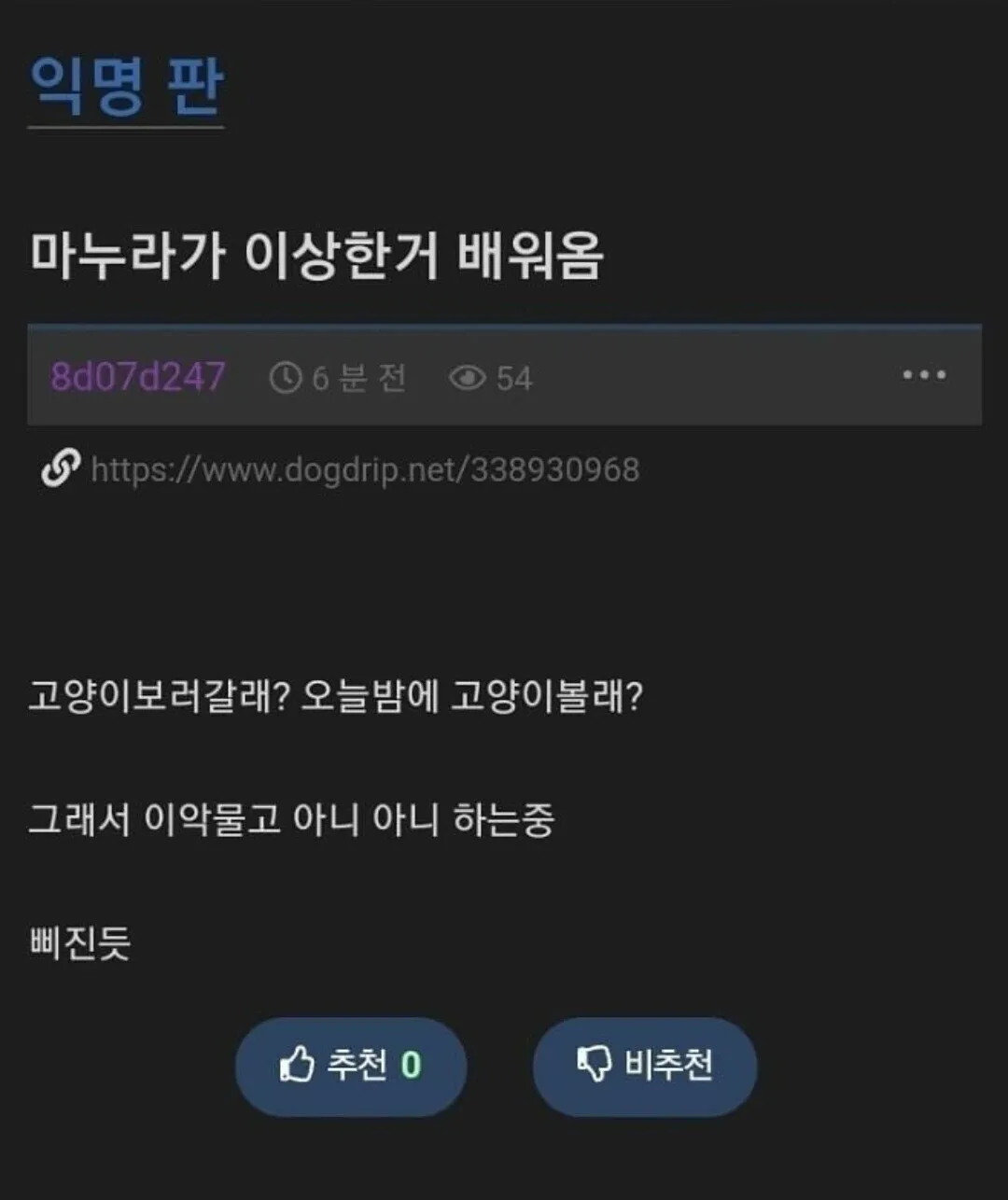 982343771_dfmG8BYN_wF3gc6S5J09nkD7H.webp