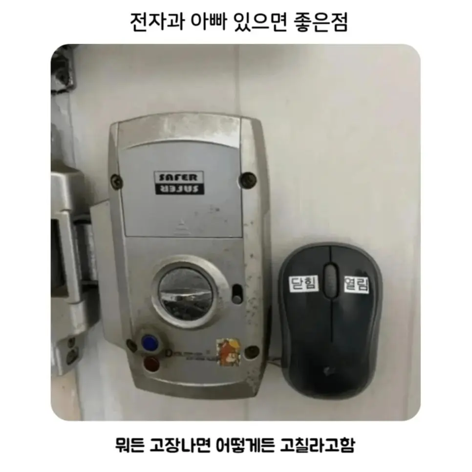 Jjubx.webp