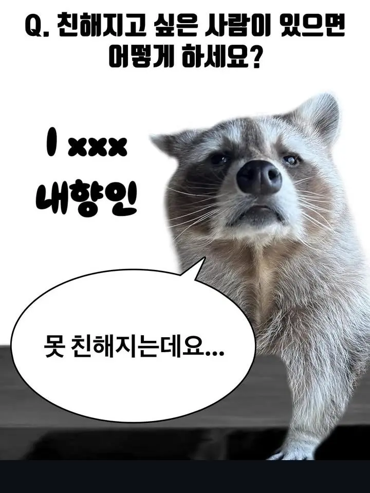 JpN0u.webp