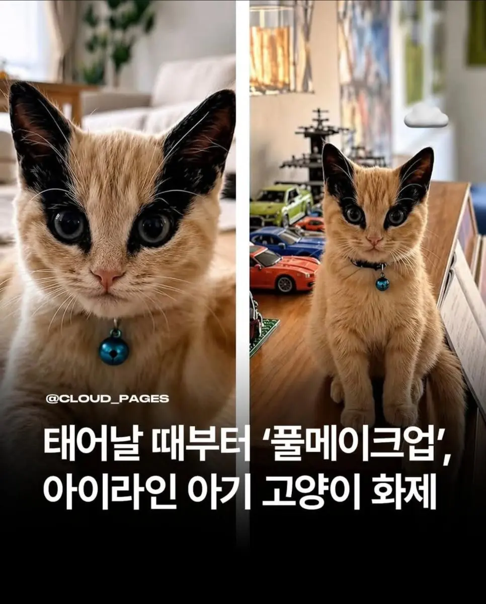 KY6DB.webp