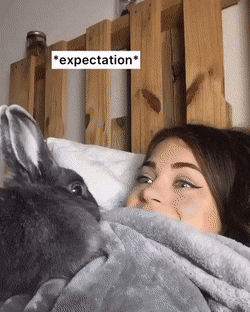 i0501224810.gif