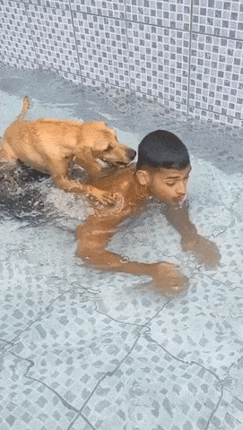 i0575348162.gif