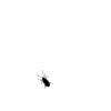 i0789317901.gif