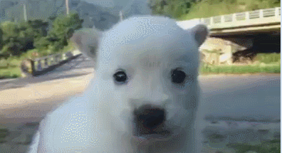 i0819242424.gif