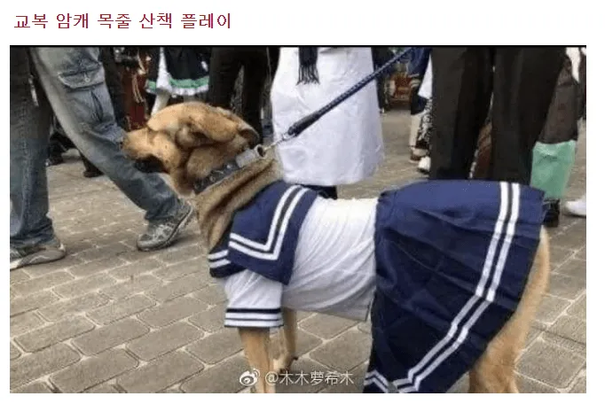 i1104763153.webp