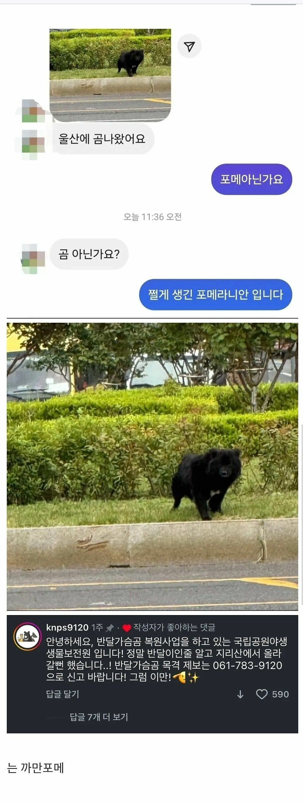 i1113116415.jpg