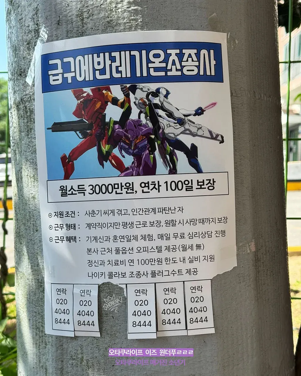 i1156014755.webp