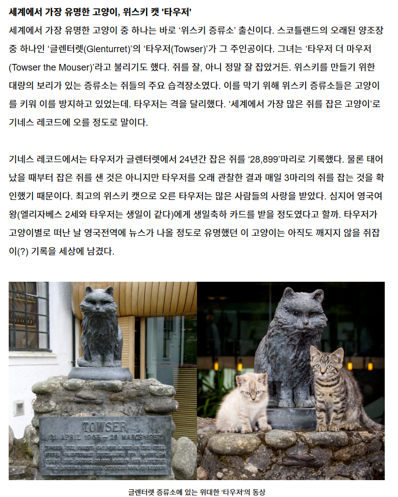 i1160381535.png