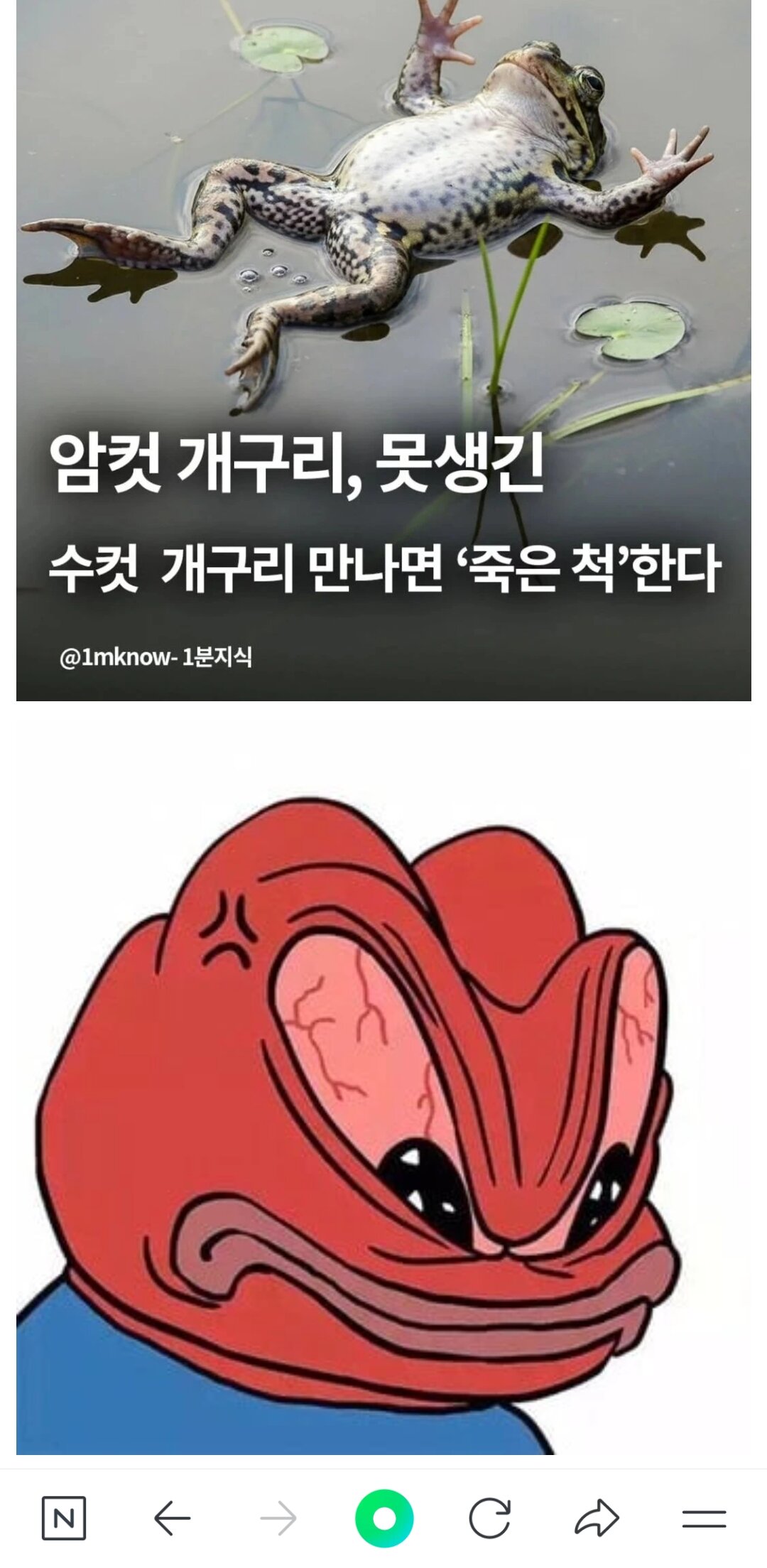 i1165814901.jpg