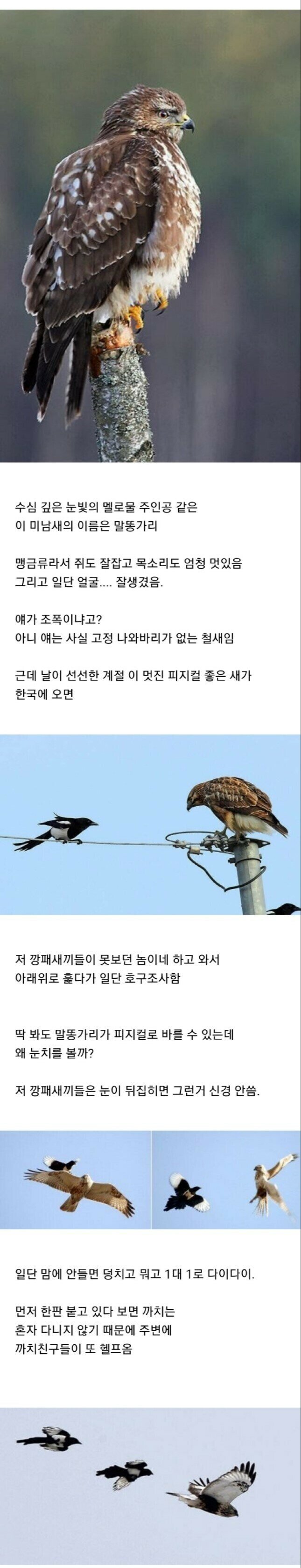 i1177309304.jpg