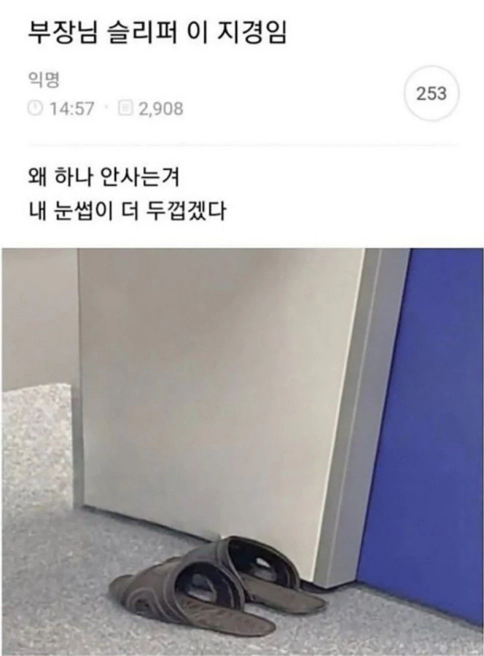 i1187051115.webp