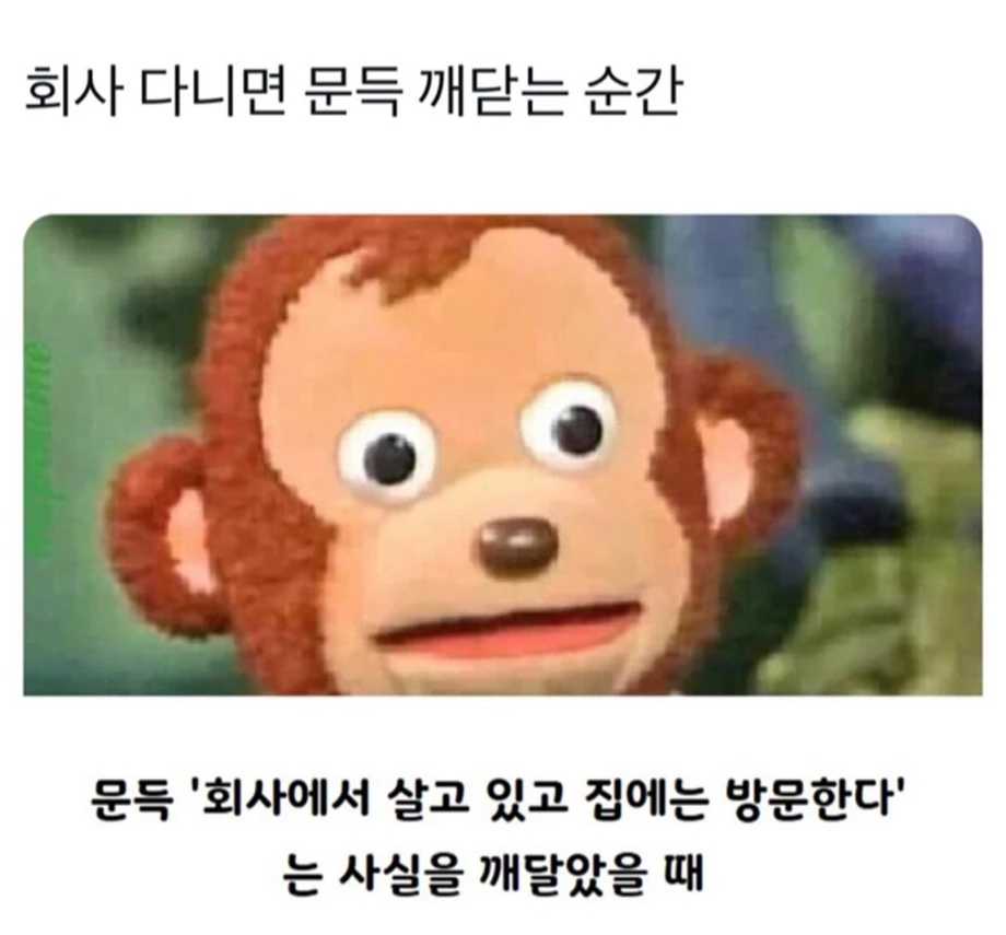i1196587878.webp