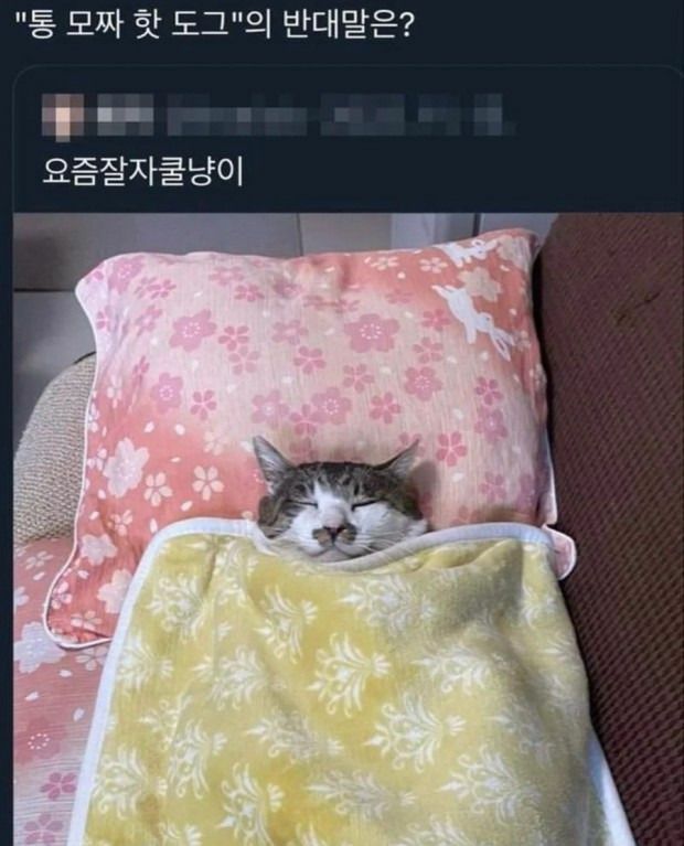 i1219425295.jpg