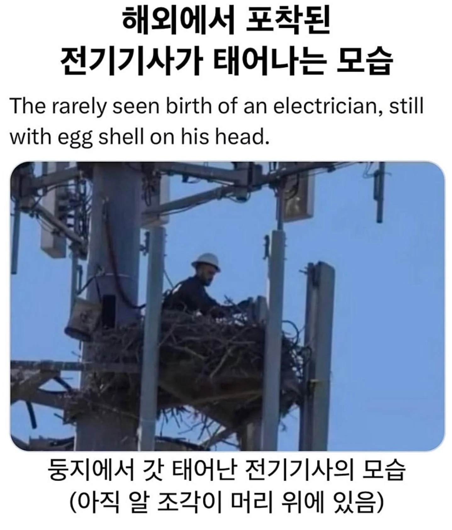 i1243792704.png