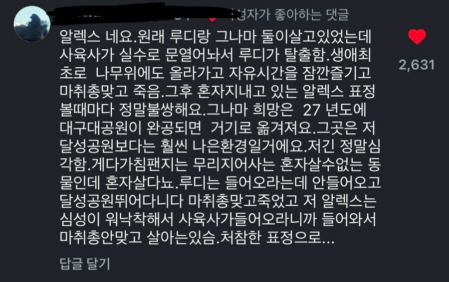 i1285157387.jpg