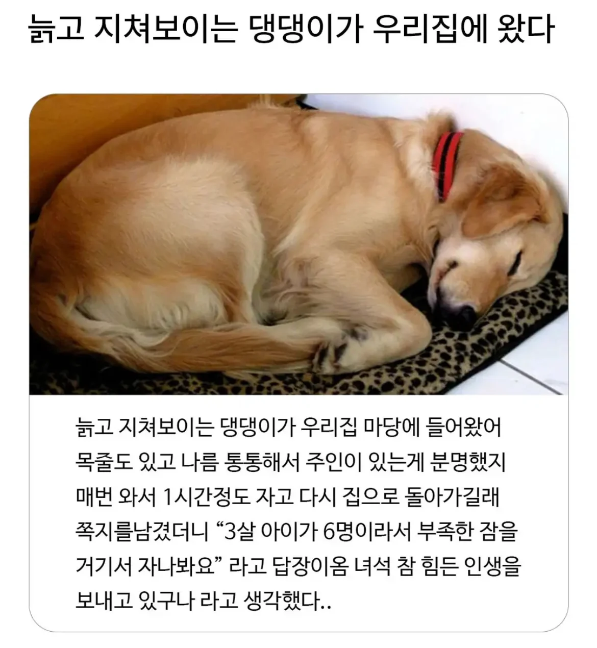 i1289074751.webp