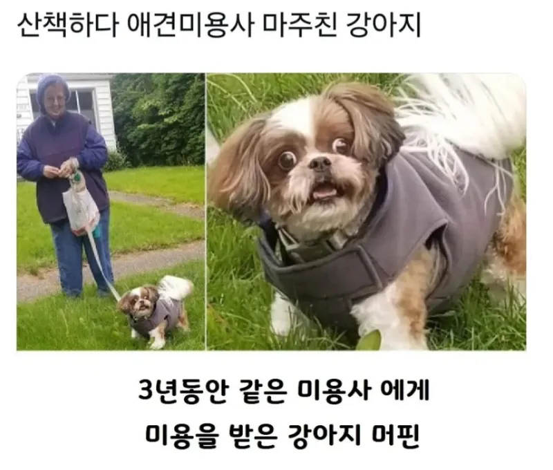 i1420677073.webp
