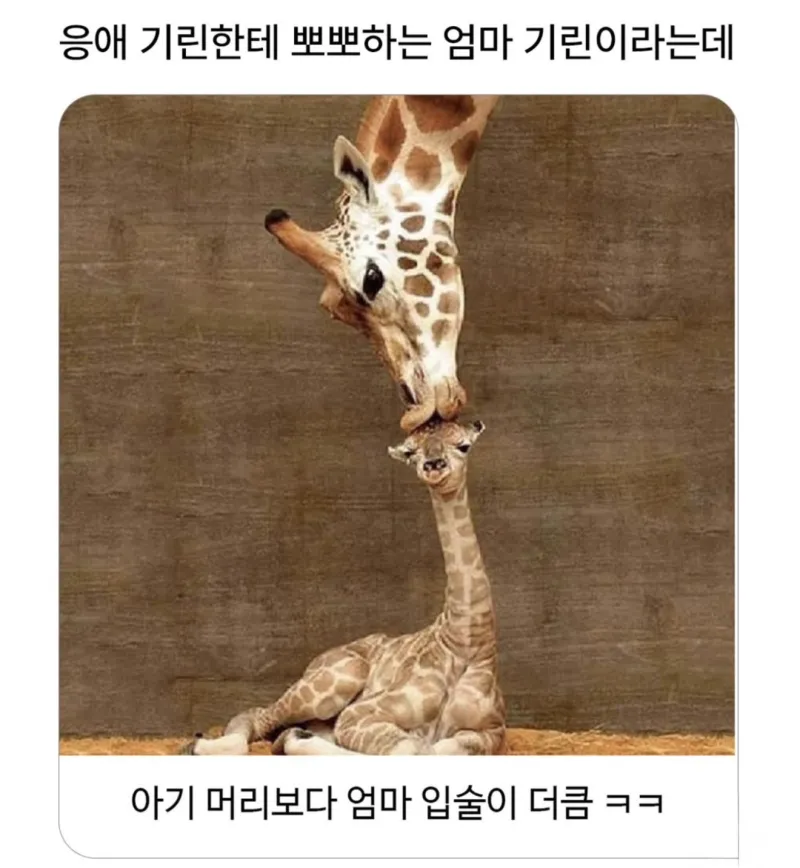 i1450487729.webp