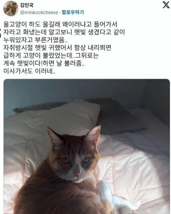 i1463240556.webp