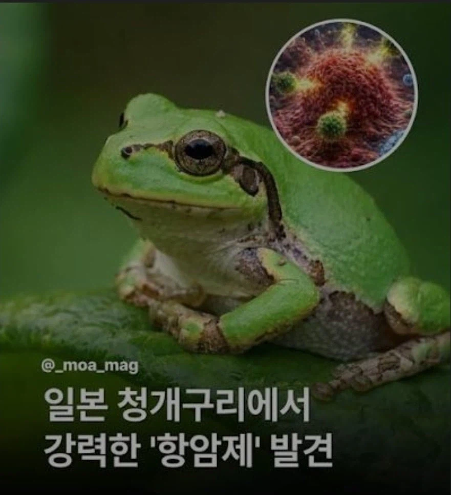 i1487169197.webp