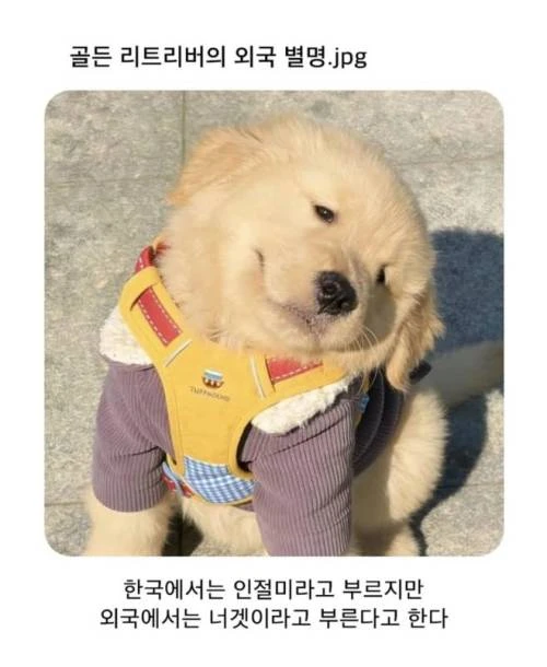 i1505522288.webp