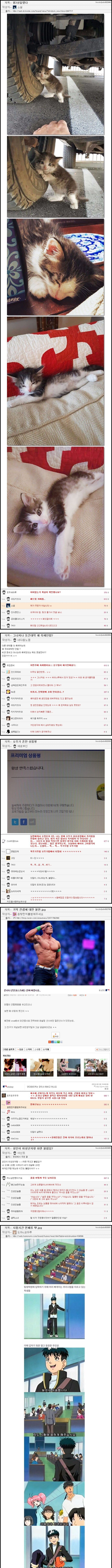 i1559196303.webp