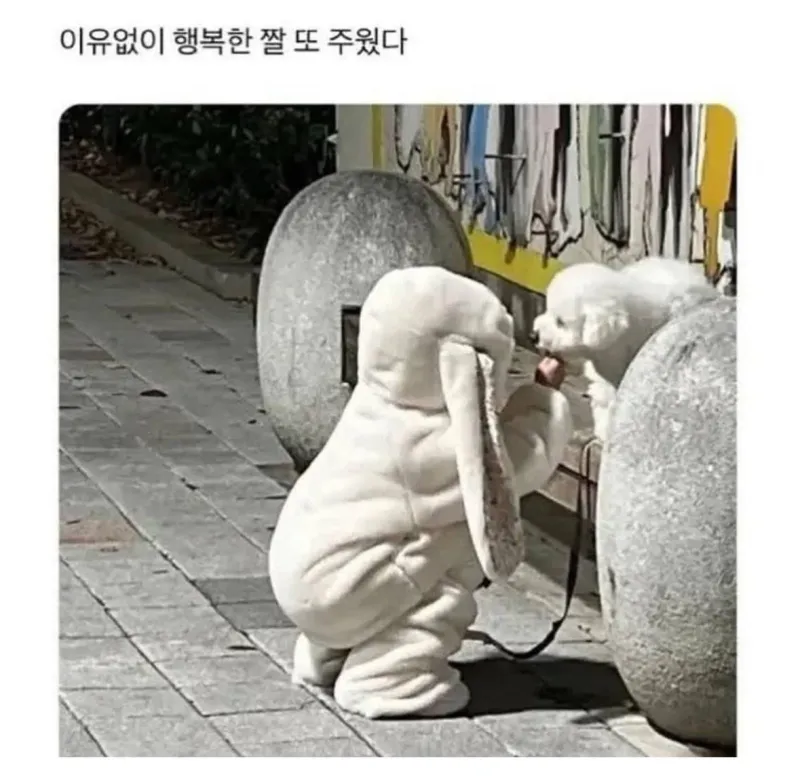 i1584281688.webp