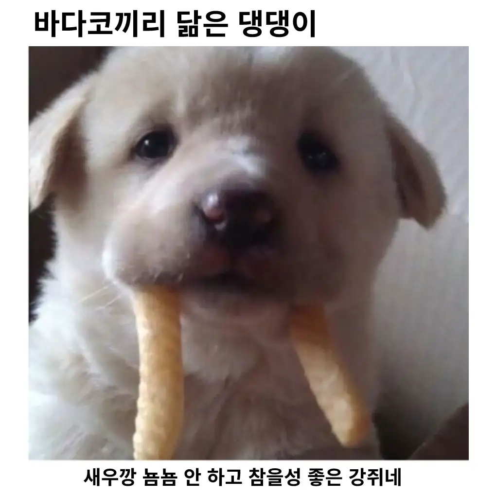 i1596977435.webp