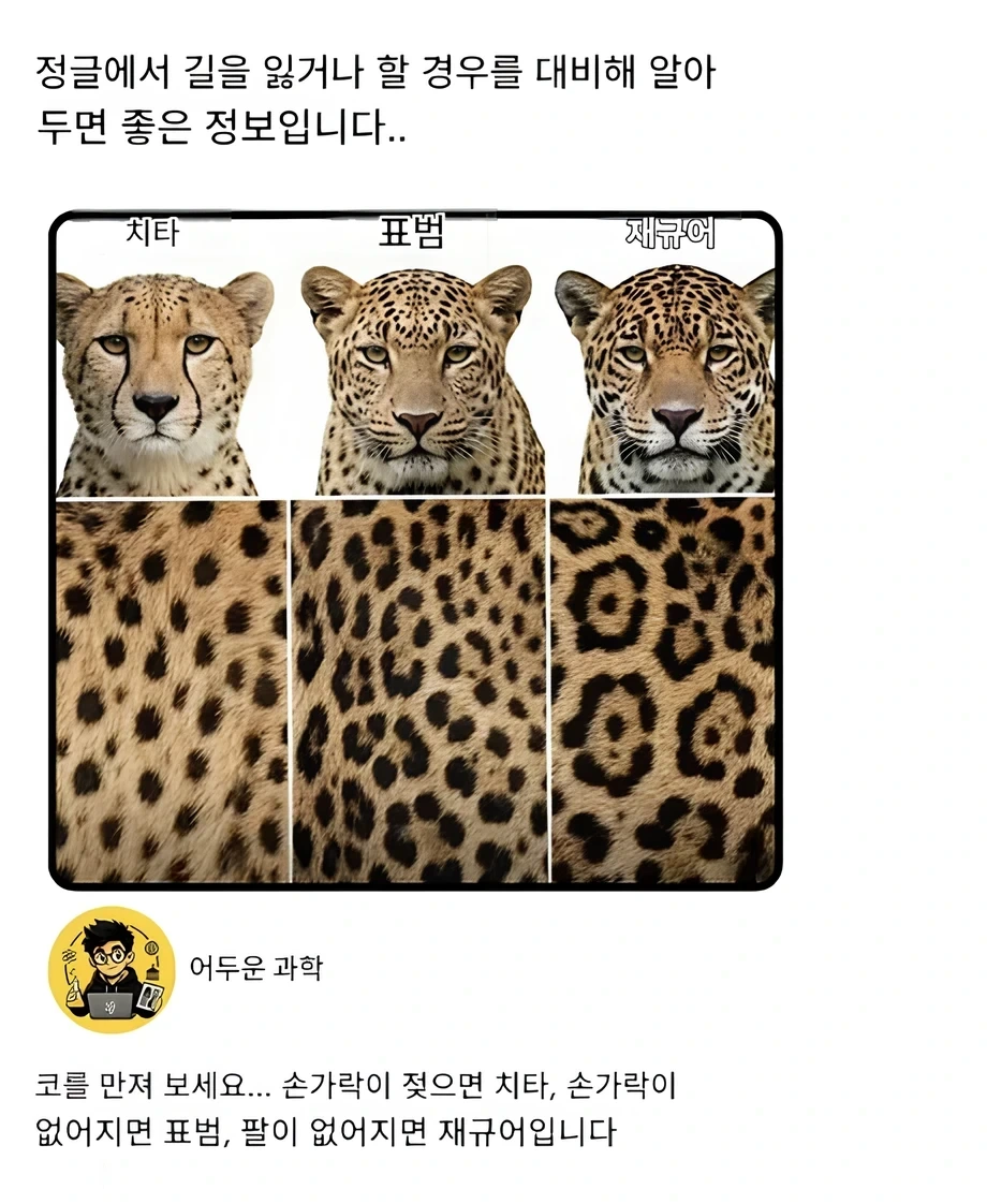 i1626012654.webp