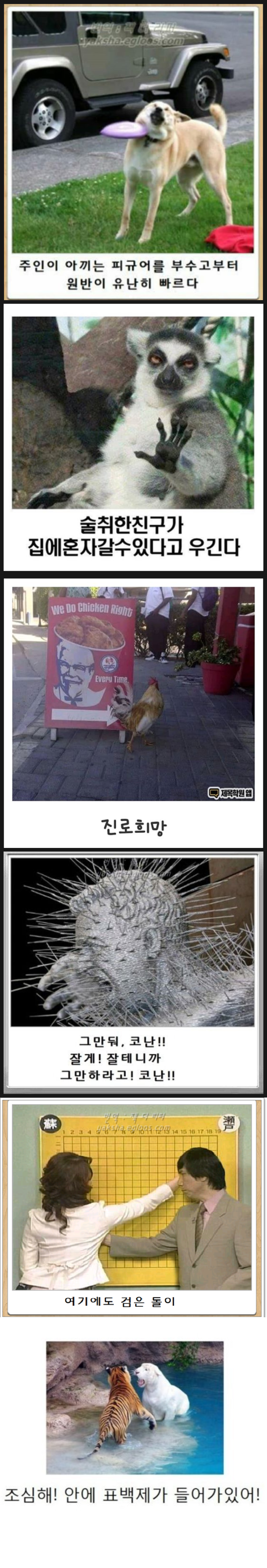 i1632307309.png