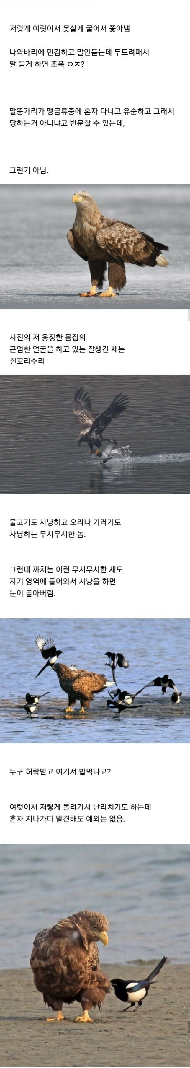 i1633542328.jpg
