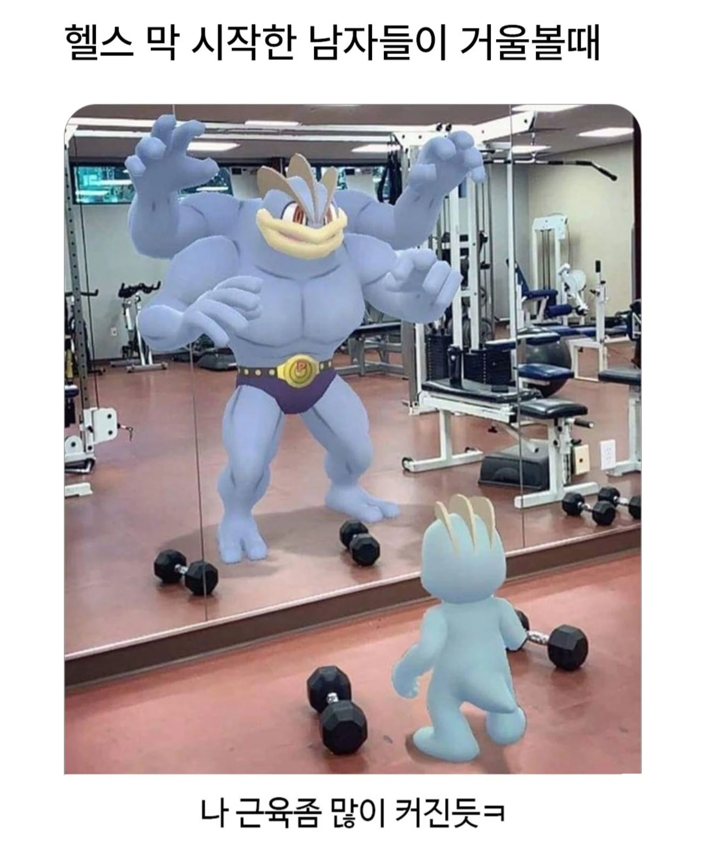 i1637523183.png