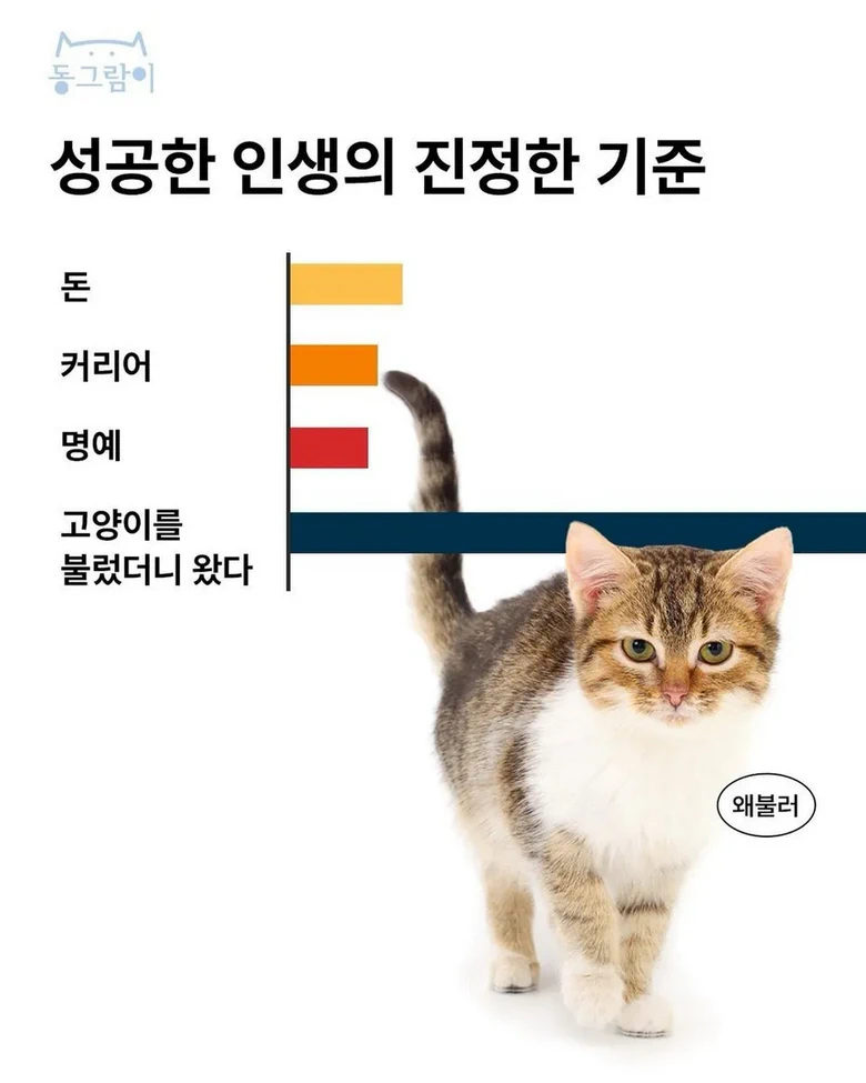 i1658409038.webp