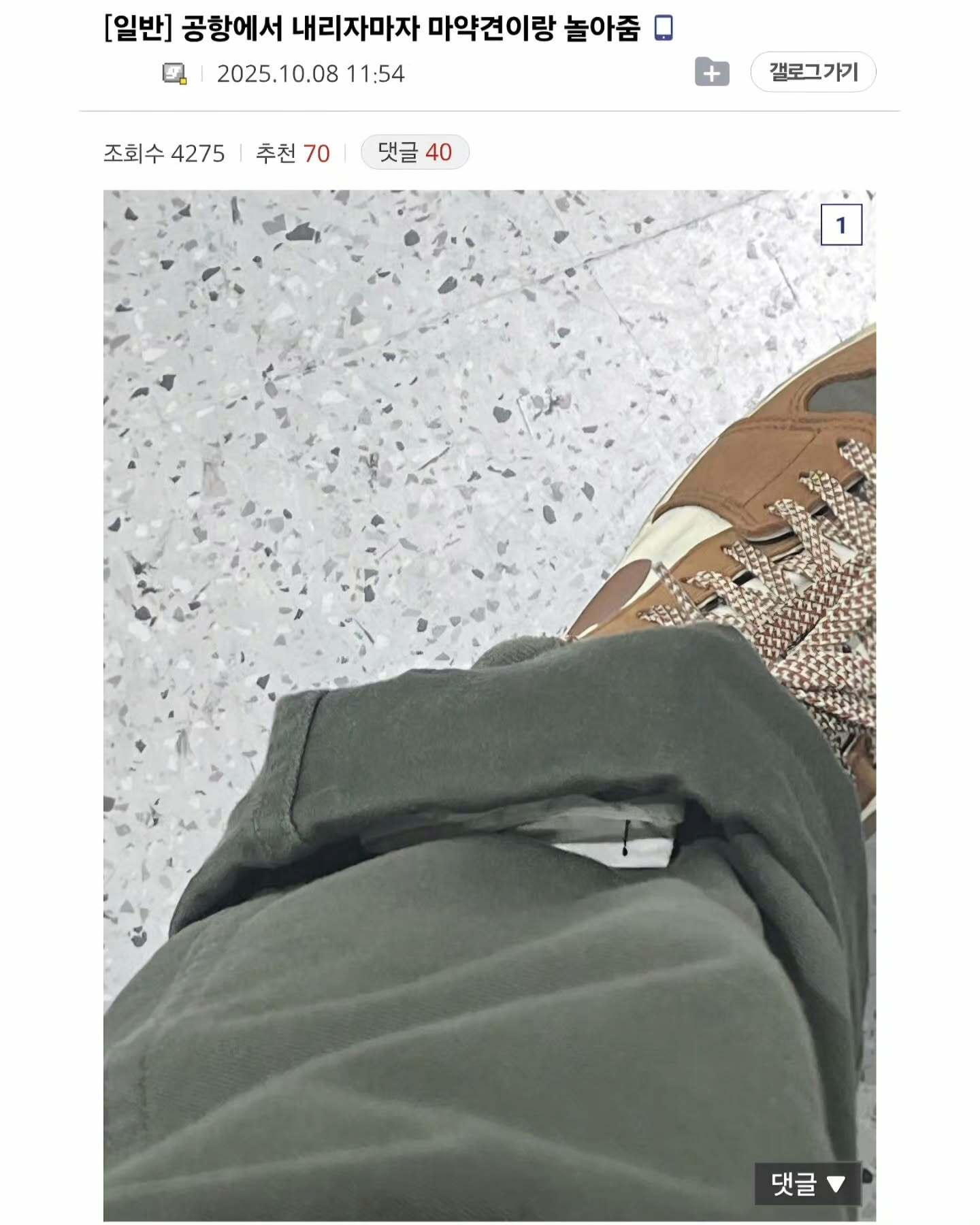 i1675319981.jpg