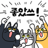 i1697971442.png