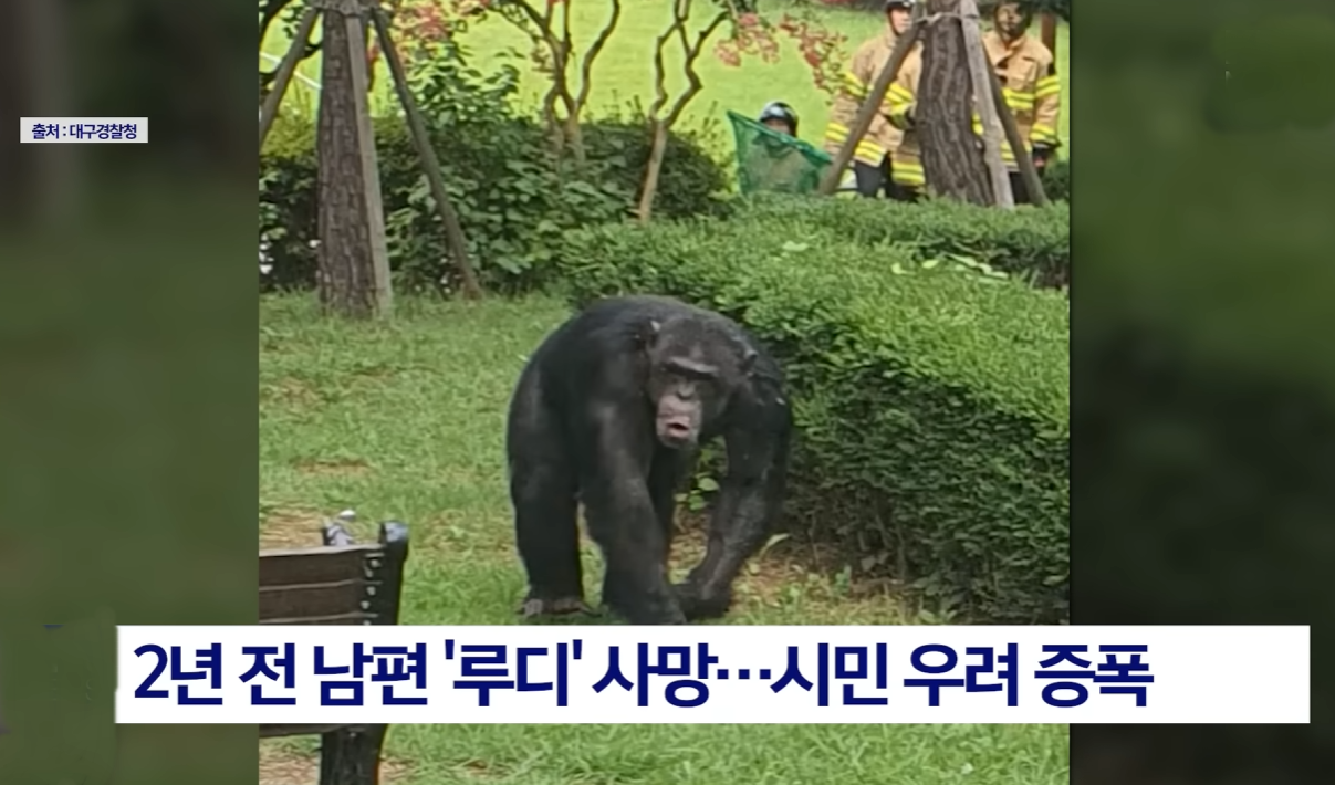 i1707420278.png