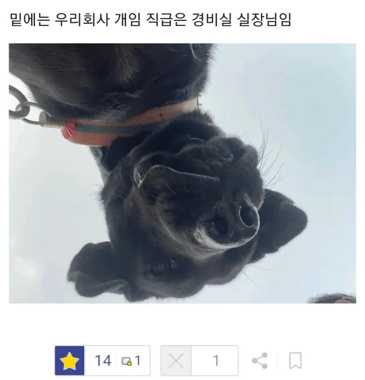 i1707588447.webp