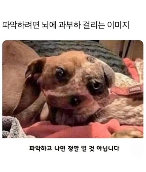 i1738731626.jpg