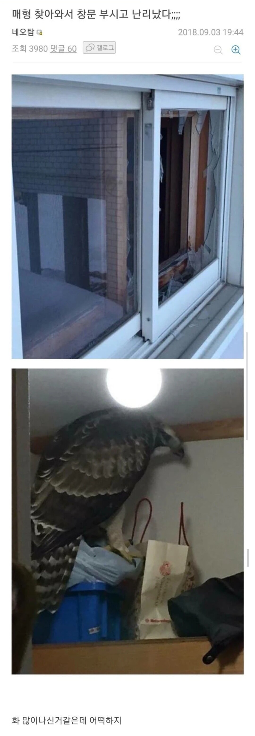 i1761223821.jpg
