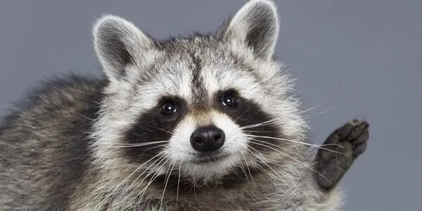 i1764347020.webp